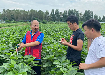 鄭1307成果案例